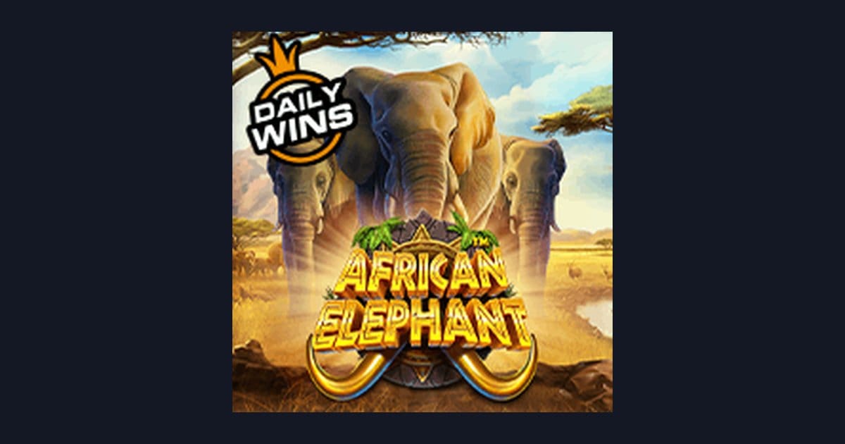 Review Jujur African Elephant: Demo & Tips Menang Slot Gacor Hari Ini