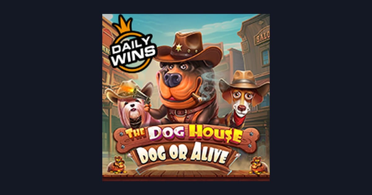 Main The Dog House Dog Or Alive dengan Modal Depo 5 Ribu, Untung Besar!
